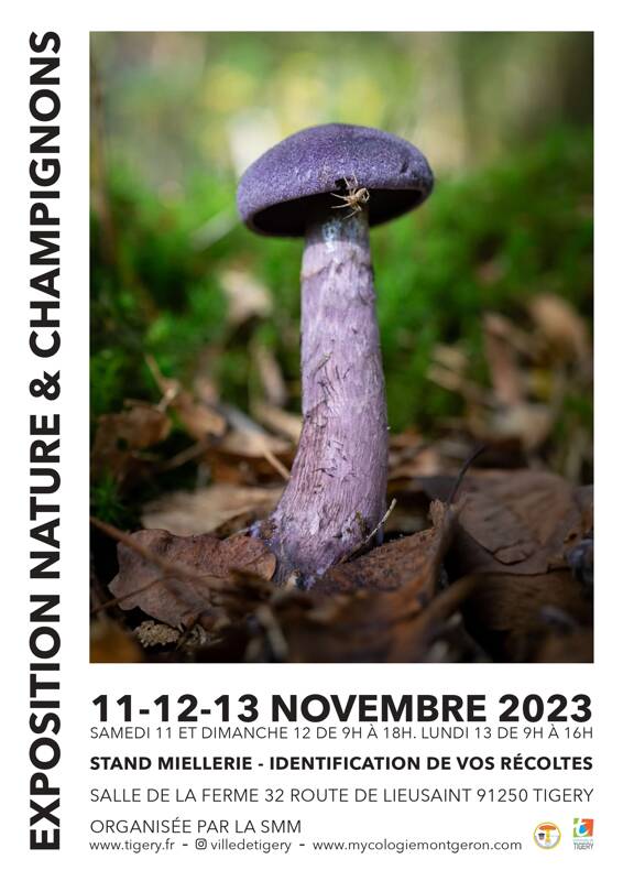 Exposition Nature et Champignons