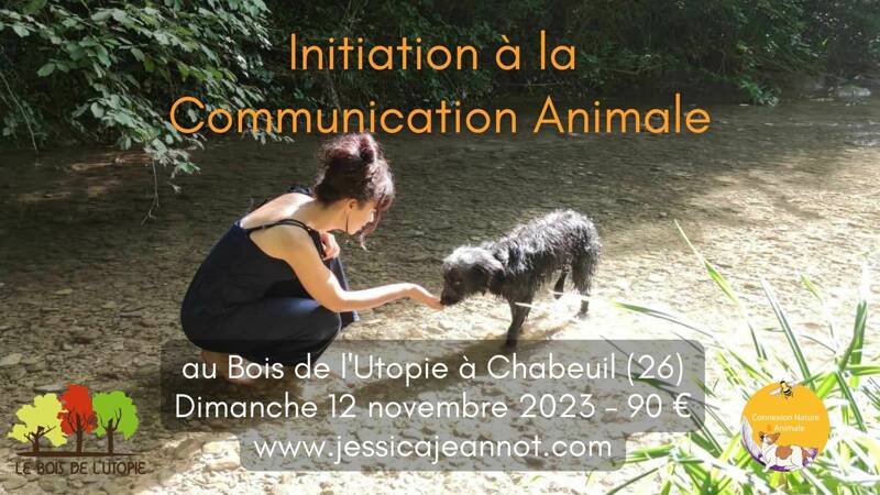 Stage Initiation Communication Animale