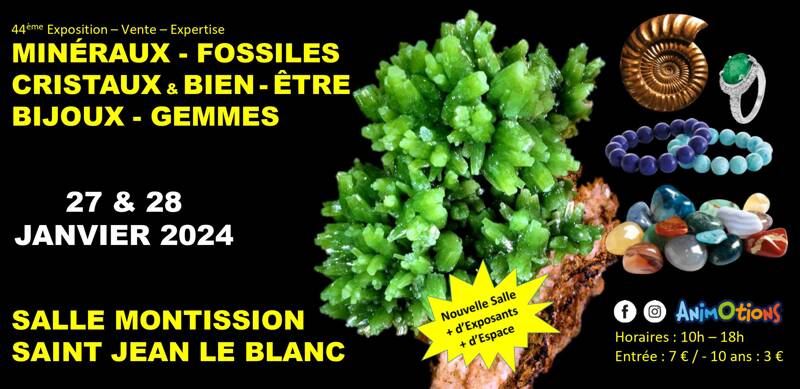45ème Salon Minéraux Fossiles Cristaux & Bien-Être Bijoux et Gemmes