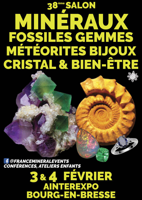 38ème Salon MinéralEvent Bourg-en-Bresse - Minéraux, Fossiles, Gemmes, Cristal & Bien-être et Bijoux