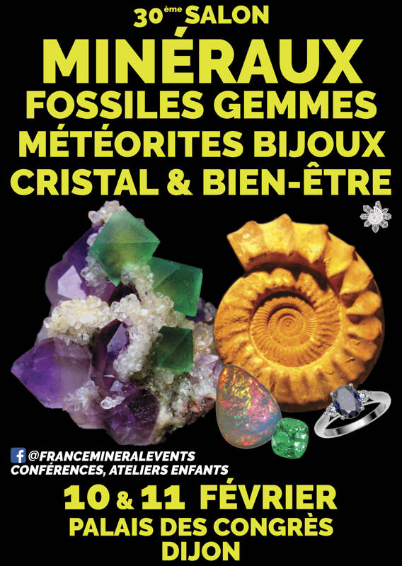 30ème Salon MinéralEvent Dijon - Minéraux, Fossiles, Gemmes, Météorites, Cristal & Bien-être, Bijoux
