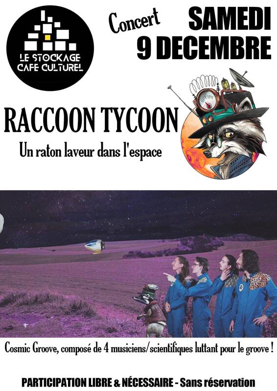 Raccoon Tycoon en concert au Stockage