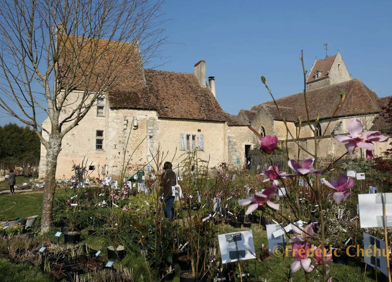 Fête des plantes du Perche