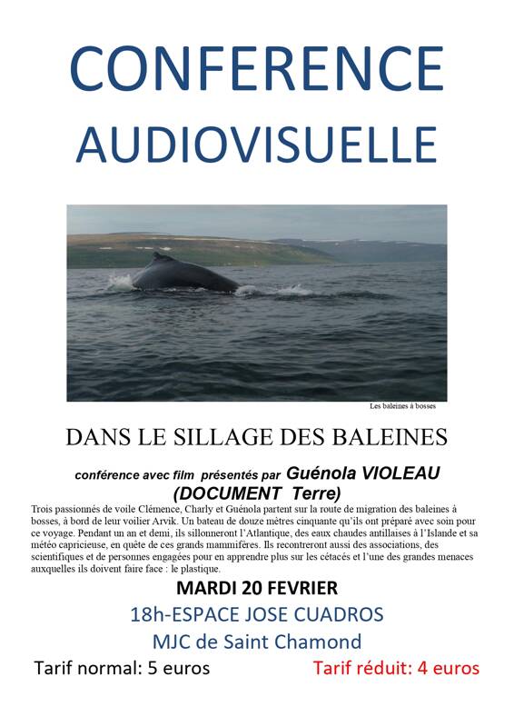 Dans le sillage des baleines