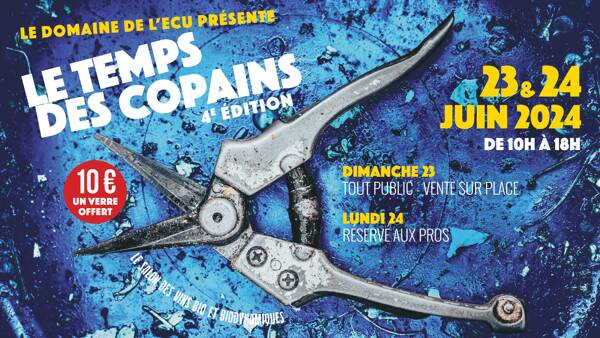 LE TEMPS DES COPAINS