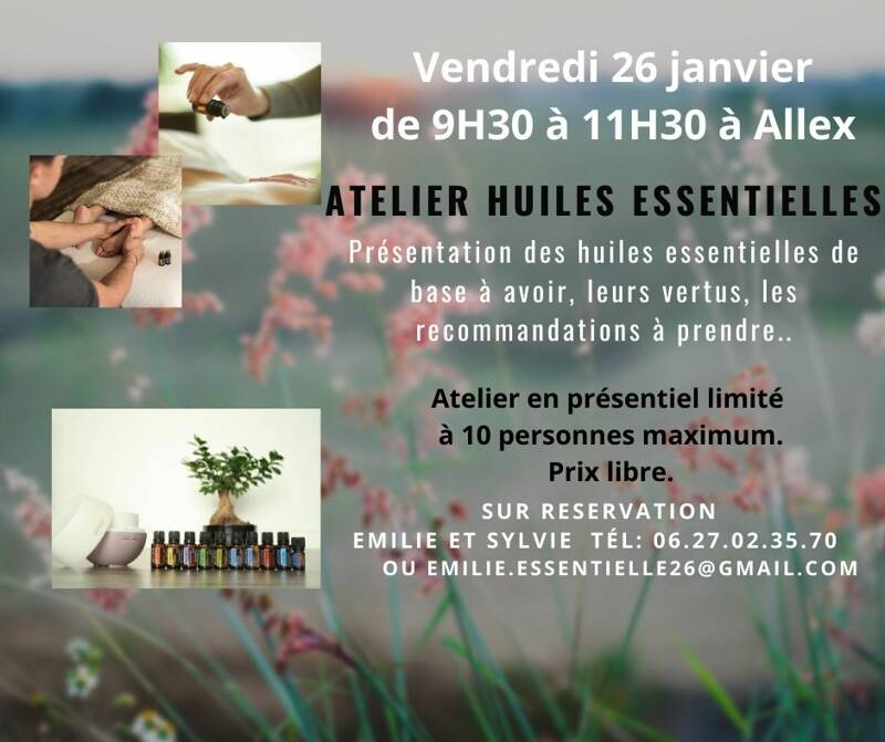 Atelier Les huiles essentielles de base à avoir