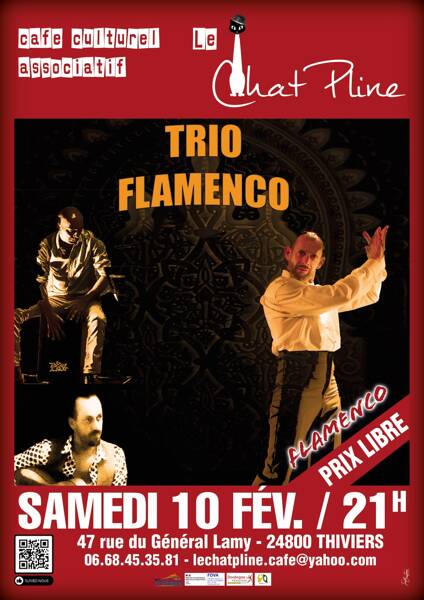 Trio Flamenco