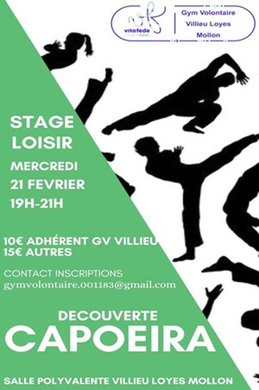 Stage Decouverte CAPOEIRA