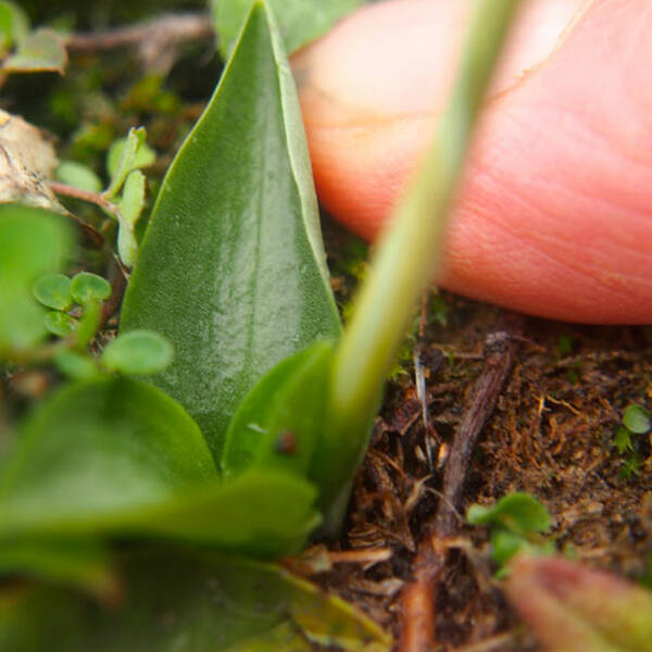 Permaculture 2ème partie