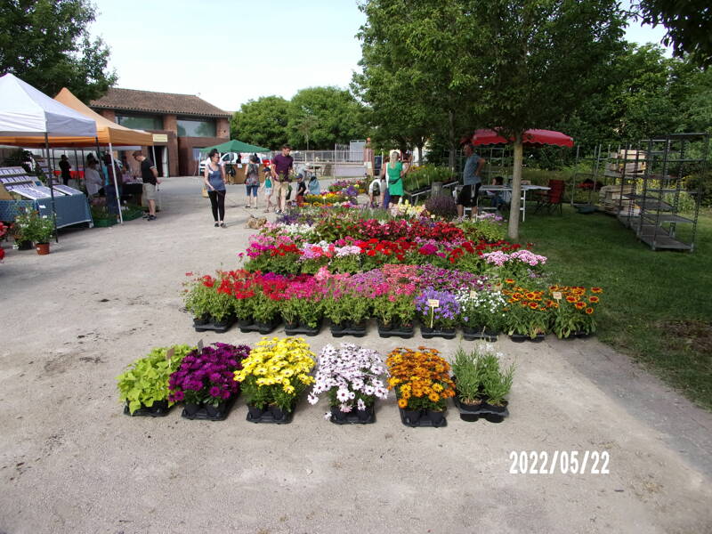 FOIRE AUX PLANTS ET MARCHE DE CREATEURS