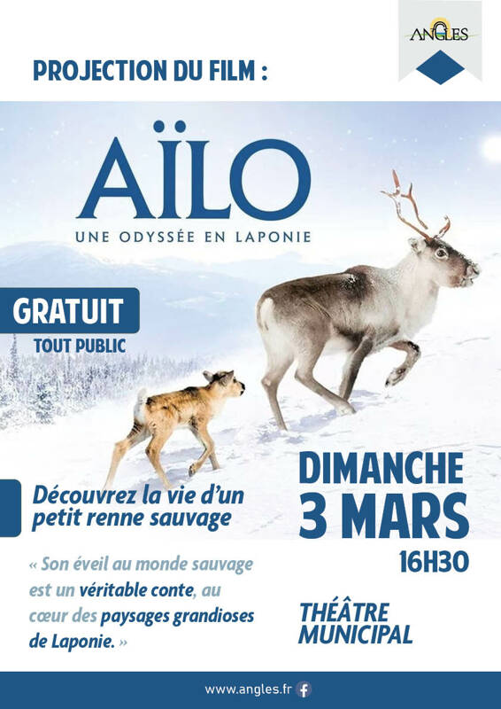 Projection du film Ailo