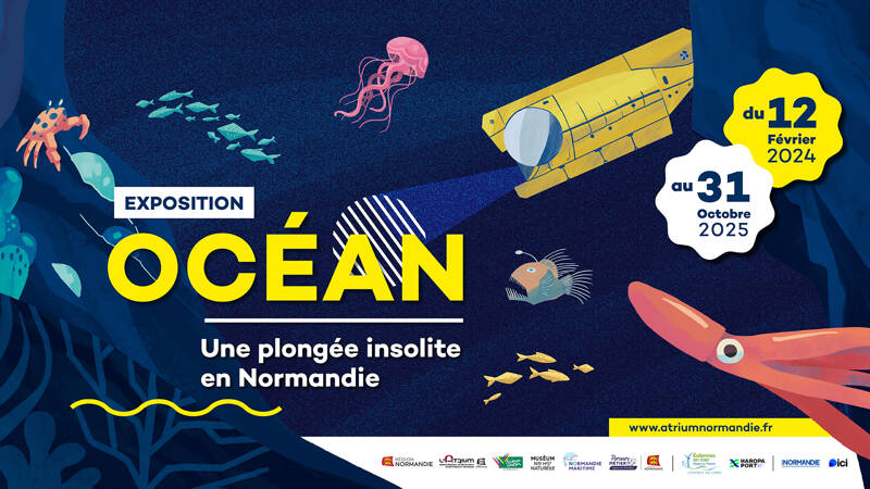 L'exposition OCÉAN, une plongée insolite en Normandie