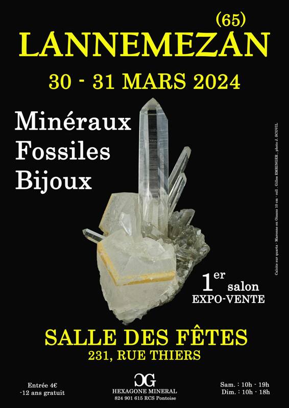 1er SALON MINERAUX FOSSILES BIJOUX