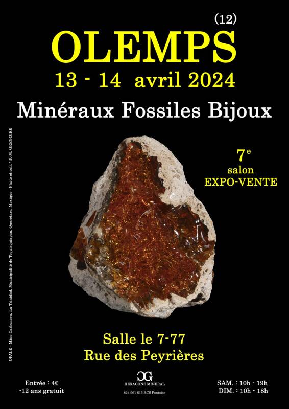 7e SALON MINERAUX FOSSILES BIJOUX