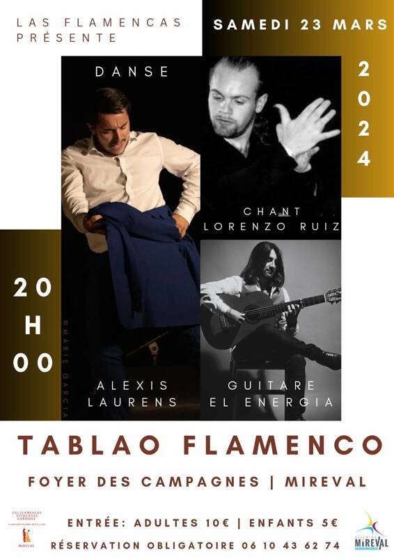 Spectacle Flamenco Traditionnel