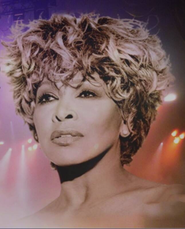 Tribute Tina Turner