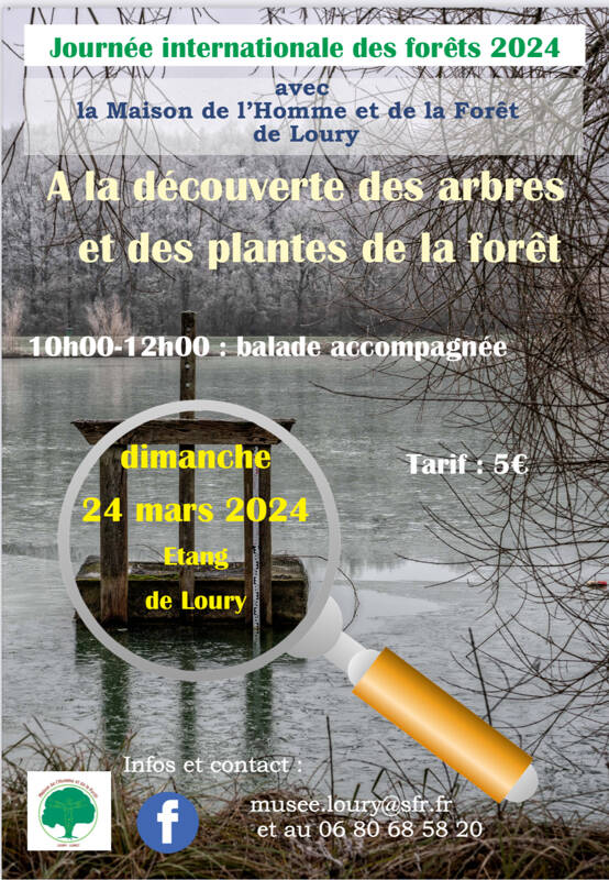 A la découverte des arbres et des plantes de la forêt d'Orléans dans le cadre des JIF