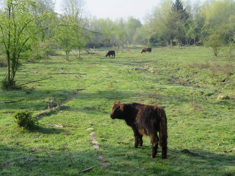 Découverte des ballastières à Aire sur la Lys