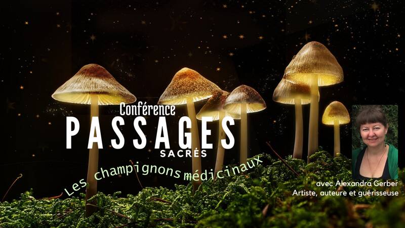 Passages sacrés, les champignons médicinaux