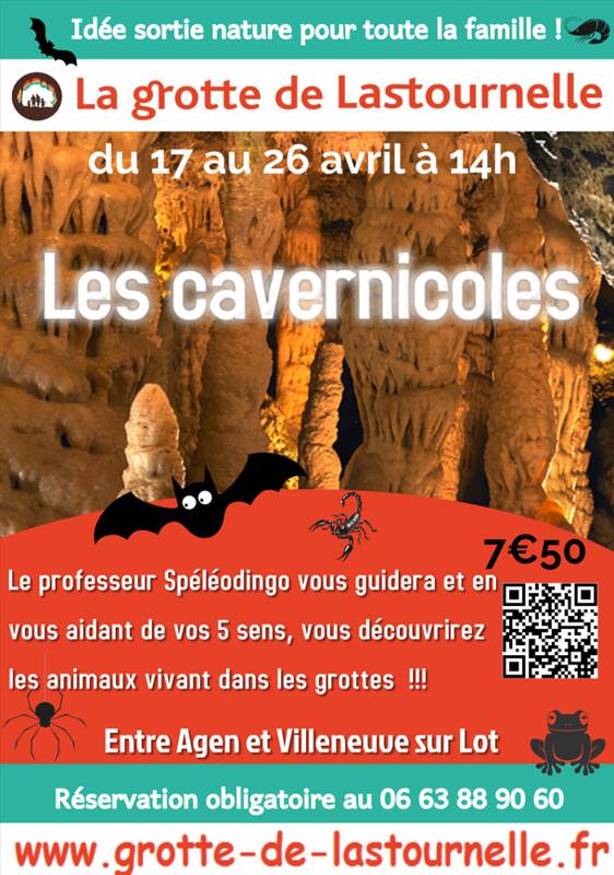 Les cavernicoles de la Grotte de Lastournelle