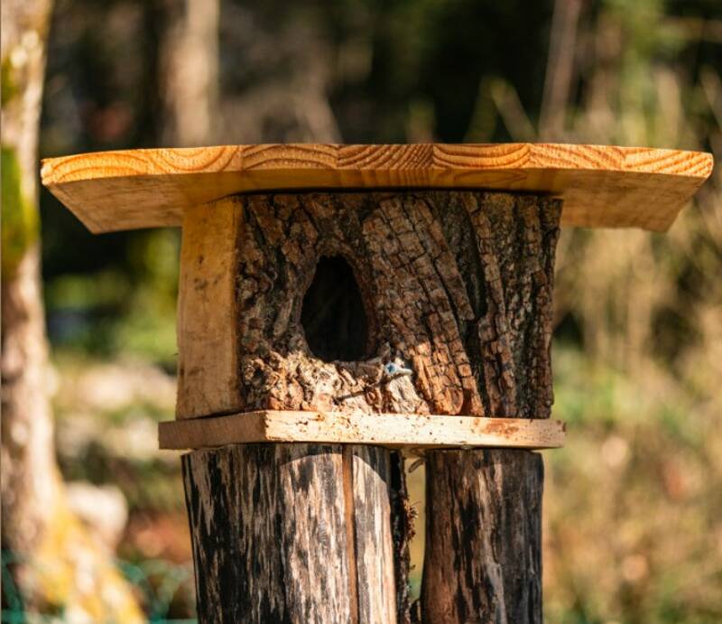 Atelier Cabane à oiseaux