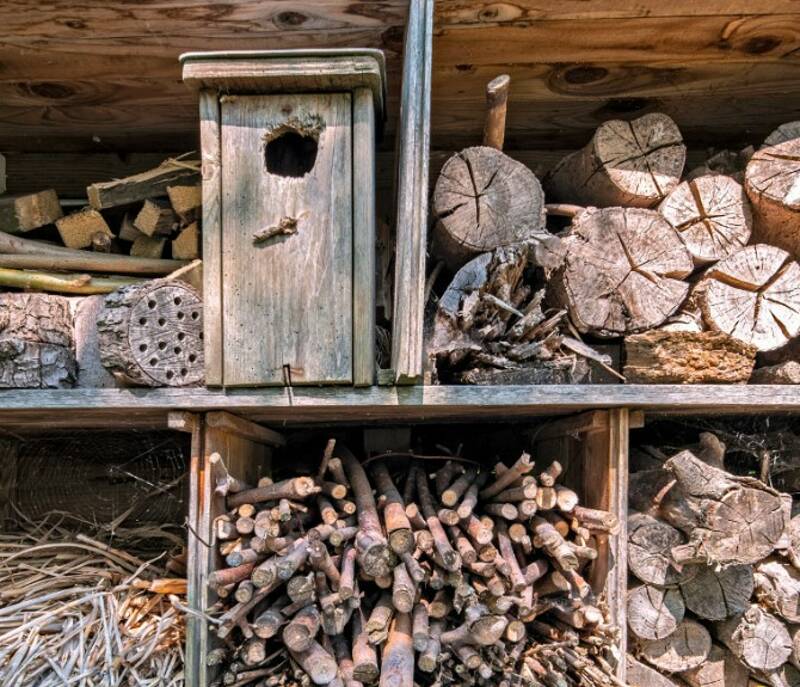 Atelier Les boites à insectes de Voltaire