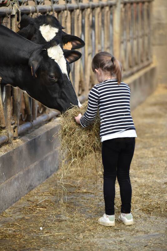 Le projet Culture(s) à la ferme Bellevue