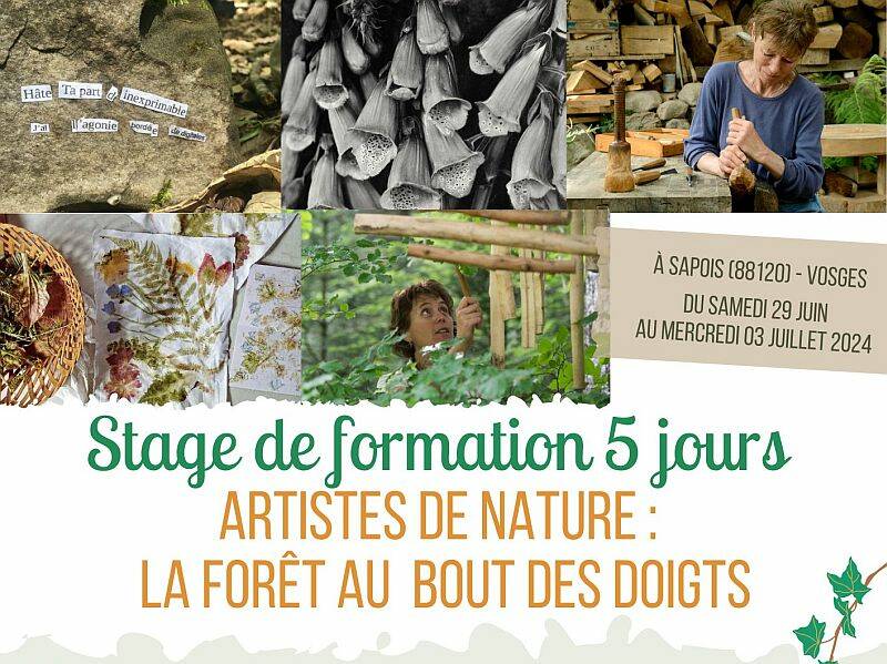 Stage de formation: artistes de nature, la forêt au bout des doigts