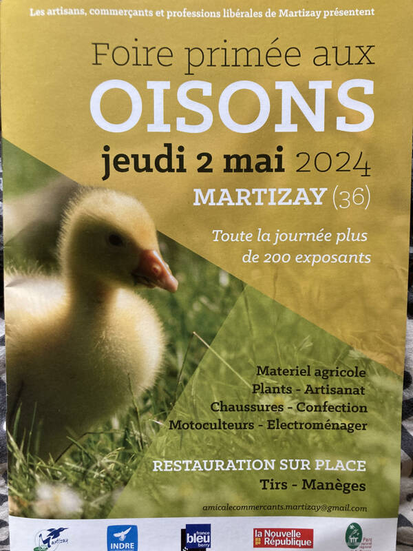 Foire aux oisons