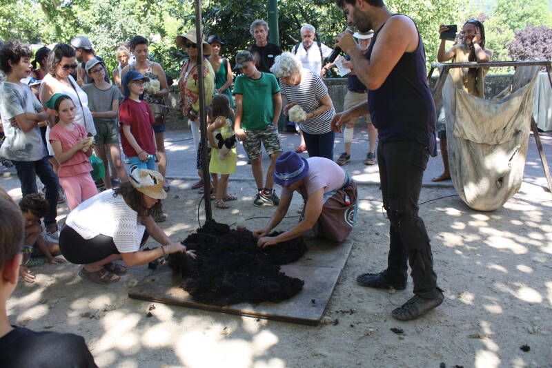 Festival de la Laine