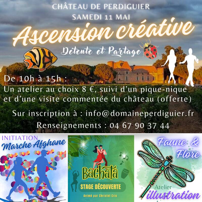 Ascension Créative