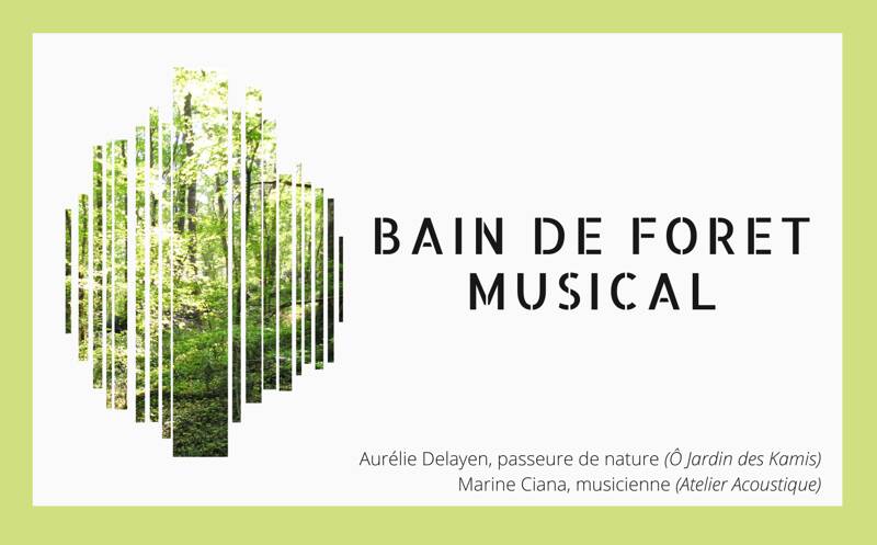 Bain de forêt musical