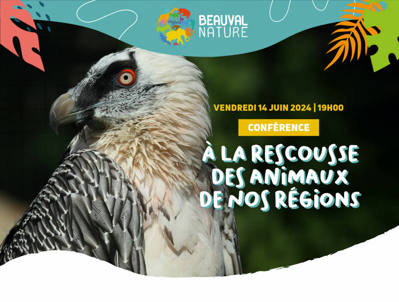 Conférence À LA RESCOUSSE DES ANIMAUX DE NOS REGIONS animée par la Ligue pour la Protection des Oiseaux (LPO)
