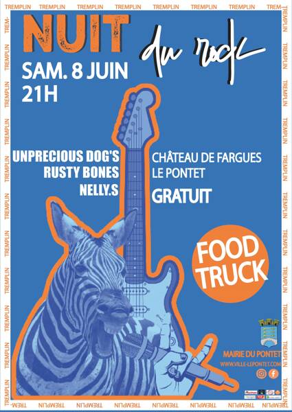 Nuit du Rock