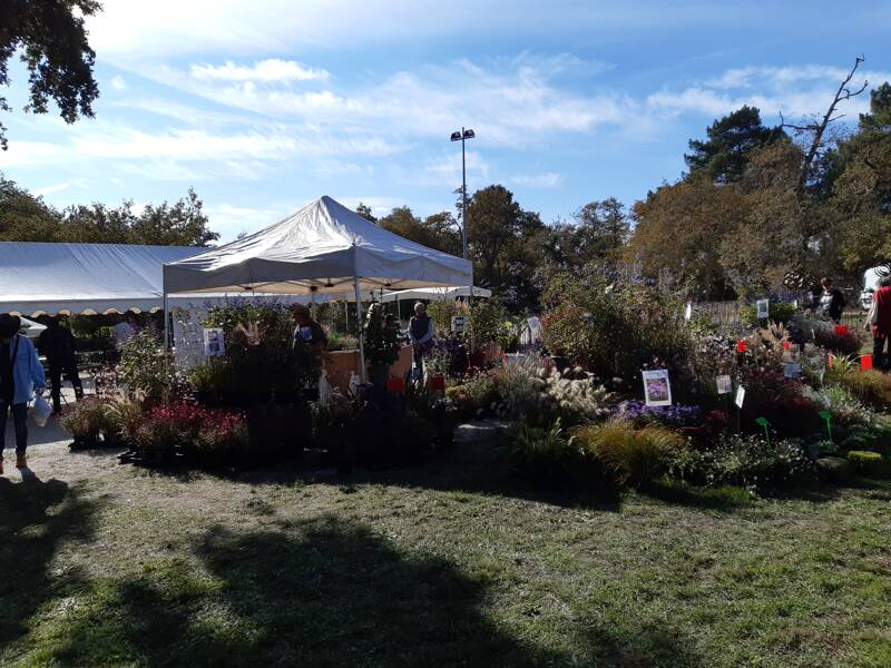 JARDINS ET SAVEURS D AUTOMNE