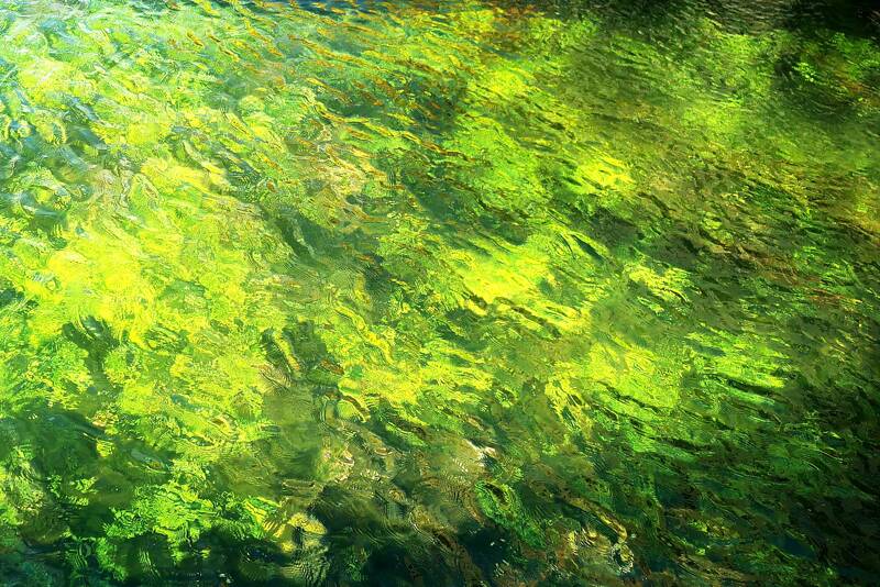 Photographies immersives