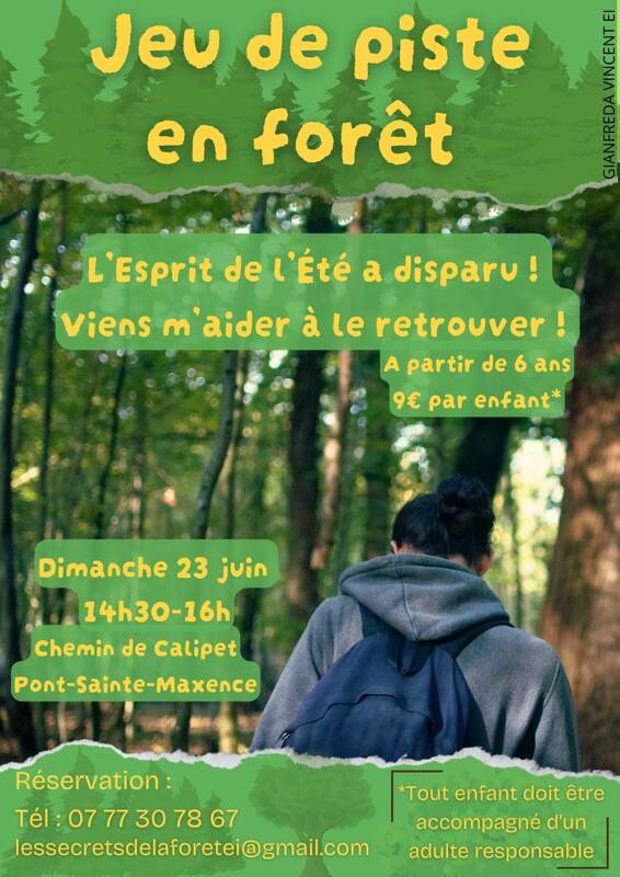 Jeu de piste en forêt : L'Esprit de l'Été a disparu !