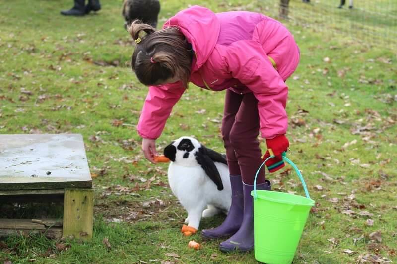 Visite immersive de la ferme pédagogique - atelier nourrissage des animaux