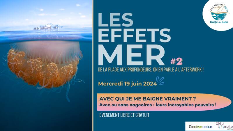 Les Effets mer #2 : L'évènement convivial pour mieux comprendre ce qui se passe sous la surface !