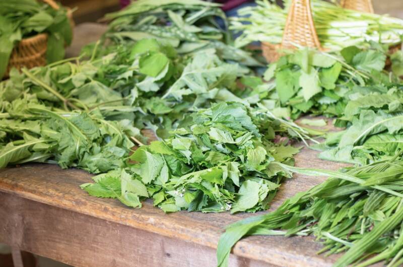 BOTANIQUE ET CUISINE SAUVAGE