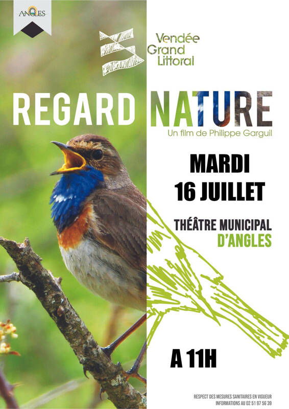 Projection Regard Nature