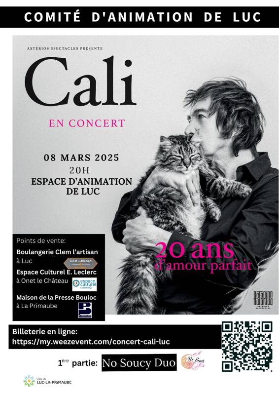 Concert Cali et Steve Nieve