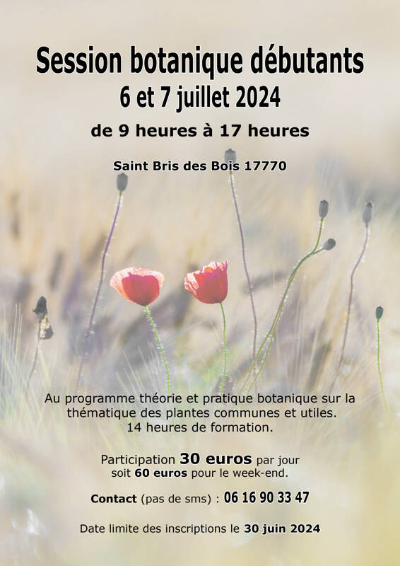 Session de botanique débutant