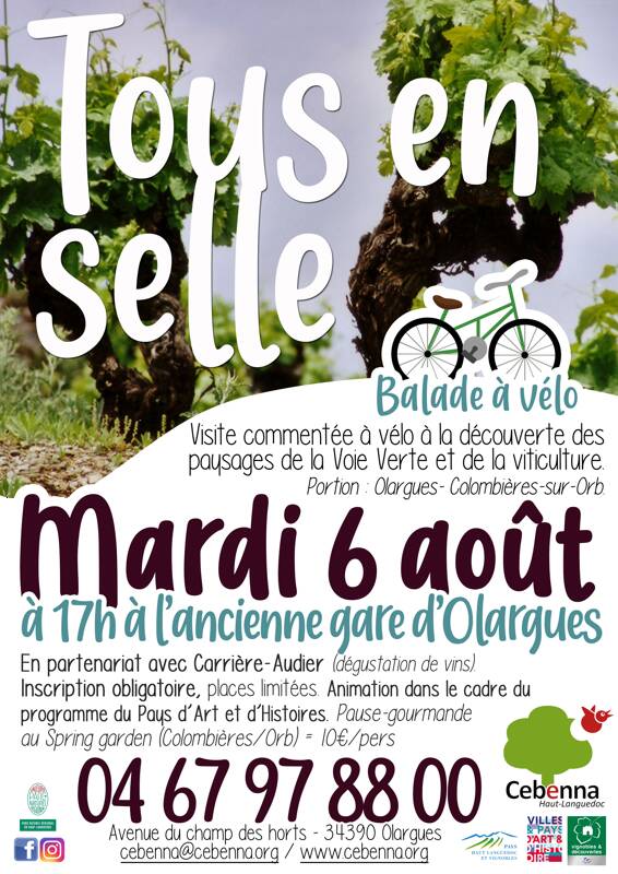 Balade guidée à vélo - Patrimoine et vin