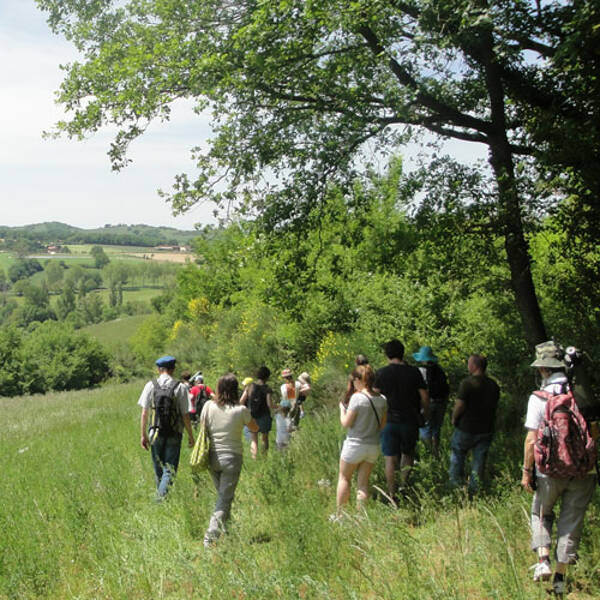 Sorties nature - Trame verte - quand la nature se connecte