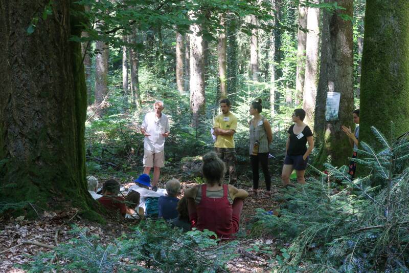 Fête du Bois et de la Forêt