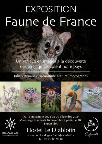 Exposition - La Faune de France