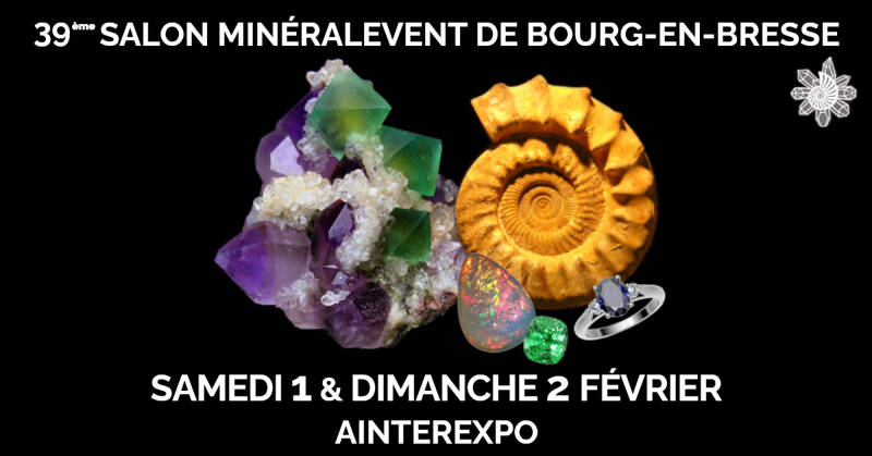 39ème Salon MinéralEvent Bourg-en-Bresse - Minéraux, Fossiles, Gemmes, Cristal & Bien-être et Bijoux