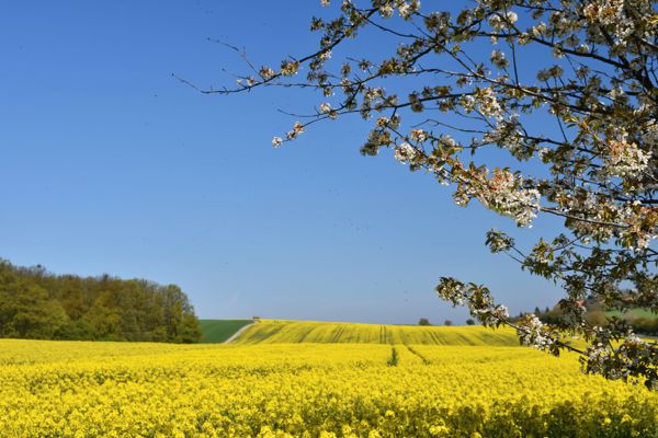 Balade découverte autour de Fresneaux-Montchevreuil