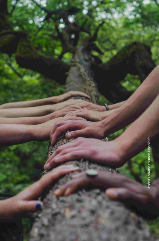 A la rencontre des arbres, à la rencontre de soi - Atelier Immersion Nature Adultes